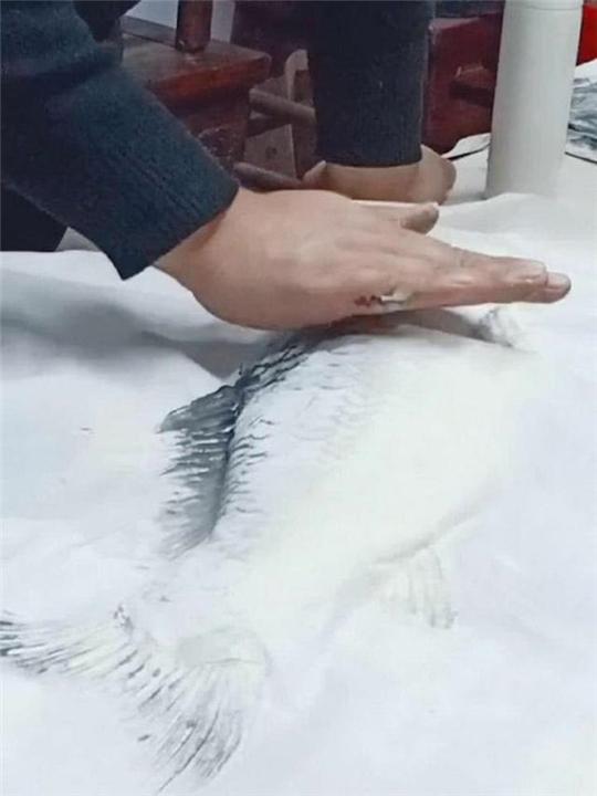   腦洞大開！幼稚園老師讓小朋友「畫魚」，阿公買活魚直接印上    網讃：大師級作品