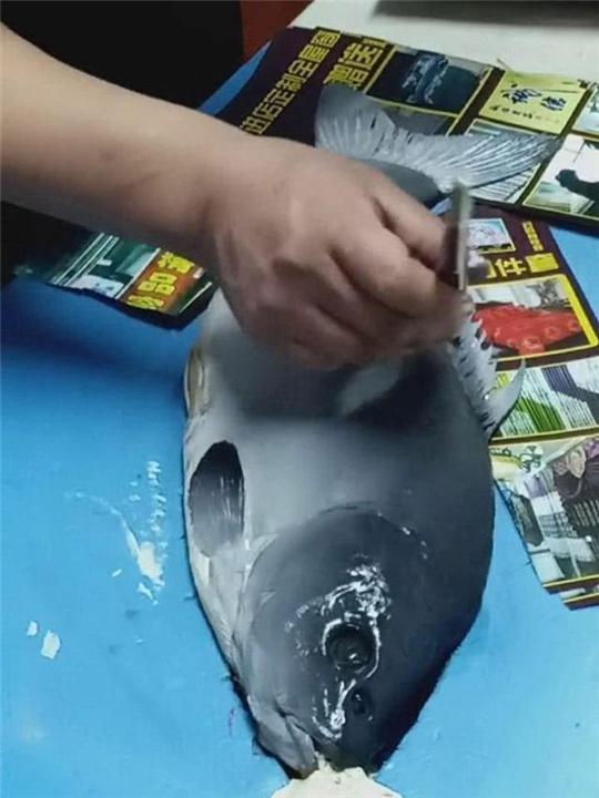   腦洞大開！幼稚園老師讓小朋友「畫魚」，阿公買活魚直接印上    網讃：大師級作品