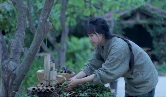仙氣蕩然無存?「神廚仙女」李子柒院子真容遭曝光,去掉美顏後仙境不再:還原最真實的農村