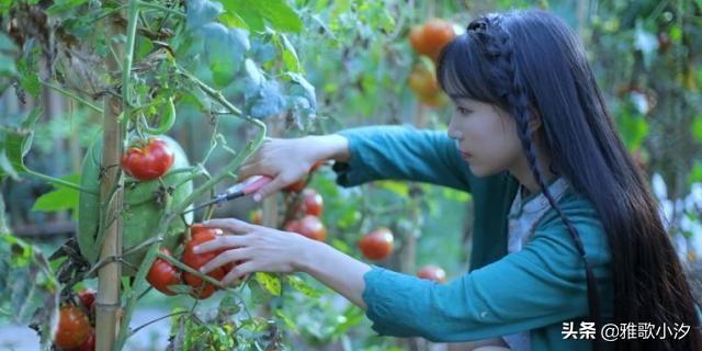 仙氣蕩然無存?「神廚仙女」李子柒院子真容遭曝光,去掉美顏後仙境不再:還原最真實的農村