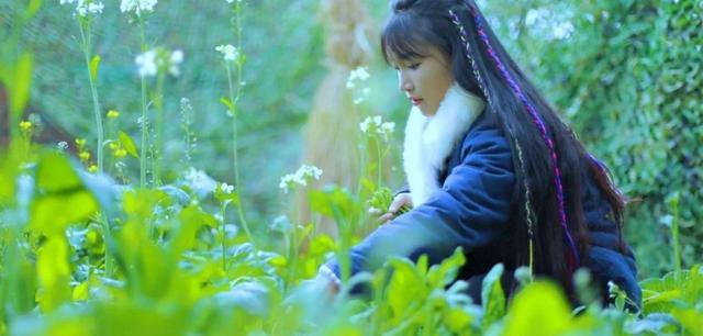 仙氣蕩然無存?「神廚仙女」李子柒院子真容遭曝光,去掉美顏後仙境不再:還原最真實的農村