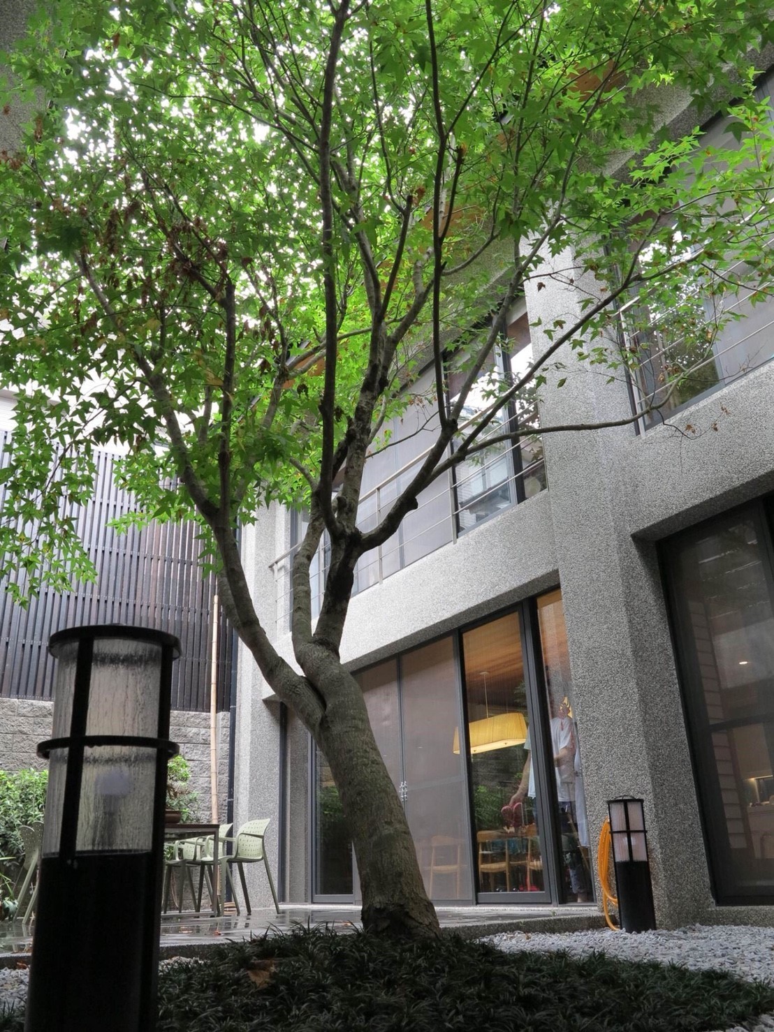 72歲醫生花2年「替失智母打造陽光玻璃屋」母子同住　「全依媽媽需求設計」各自擁空間：想親自守護