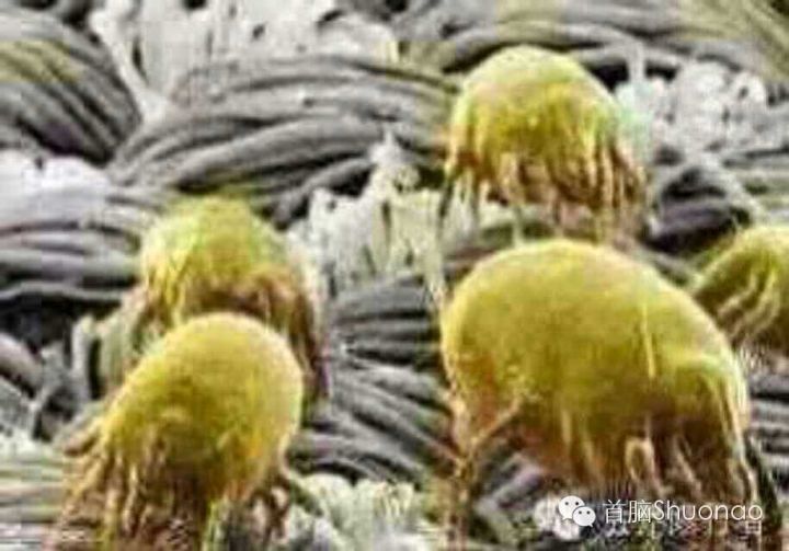 注意！專家示警：不要再買「這款胸罩」危害女人健康　嚴重會得乳腺癌