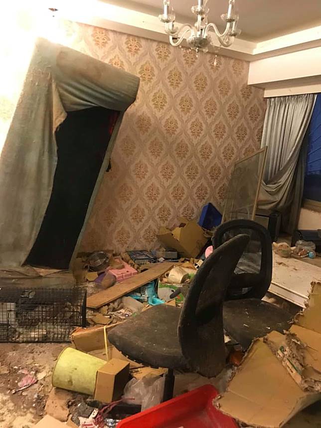 房子租給女兒！媽媽3年沒進屋「開門驚見垃圾海」寸步難行　無奈控「拿她沒辦法」網愣：根本養殖場