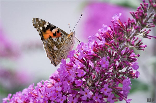 人生就是，昨天越來越多，明天只會「越來越少」！