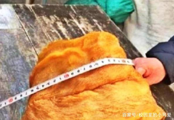 賺大了！農民大爺「曬了魚乾」忘記吃，一放就是38年，現在比黃金還要值錢