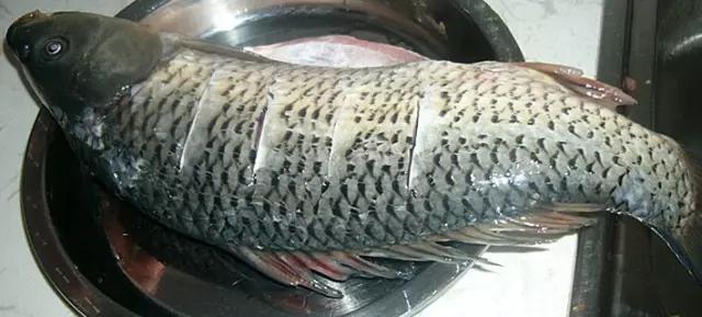 小時候的過年，才是過年！大魚大肉「團圓飯限定」滿心期待　一年「只買一次衣服」捨不得穿