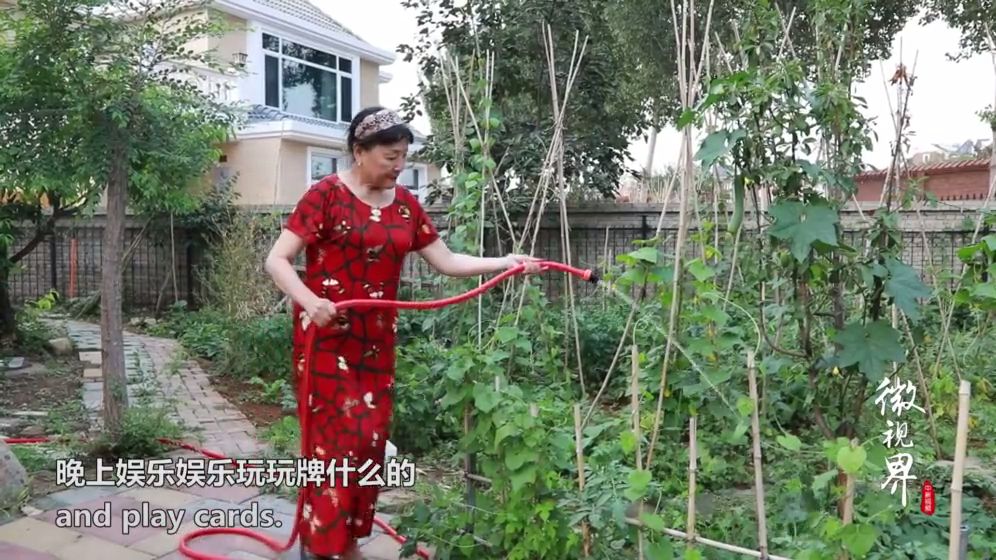 安心又自在！15個70歲老人租房「同居養老」養花種菜不帶娃　年輕人「羨慕」：理想中的老年生活