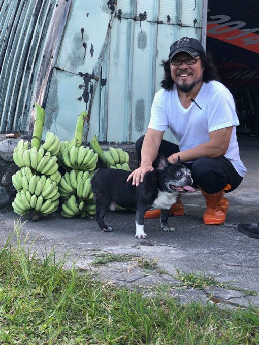 戶籍遷花蓮！張菲曝清幽生活「好山好水種芭蕉」一次待一週　小哥退休「兄弟倆經常聯絡」享受放慢人生