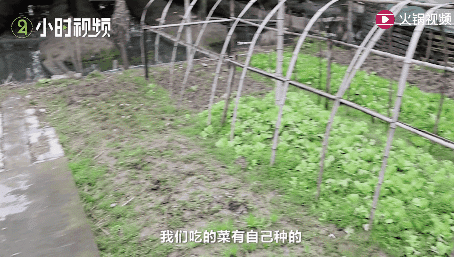 安心又自在！15個70歲老人租房「同居養老」養花種菜不帶娃　年輕人「羨慕」：理想中的老年生活