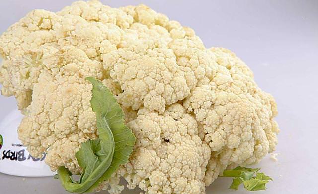 最全面的「長壽養生秘訣順口溜」好記又實用！趕快記下來
