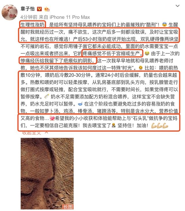 章子怡曬兒子滿月照，發長文令人深思「苦口婆心談教育」：世間沒有治癒愚蠢的解藥