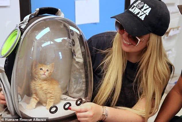 比姐姐伊萬卡靈氣!川普前妻曝二女兒昔日舊照,小蒂芬妮「波浪金髮+可愛面龐」像個精緻的洋娃娃