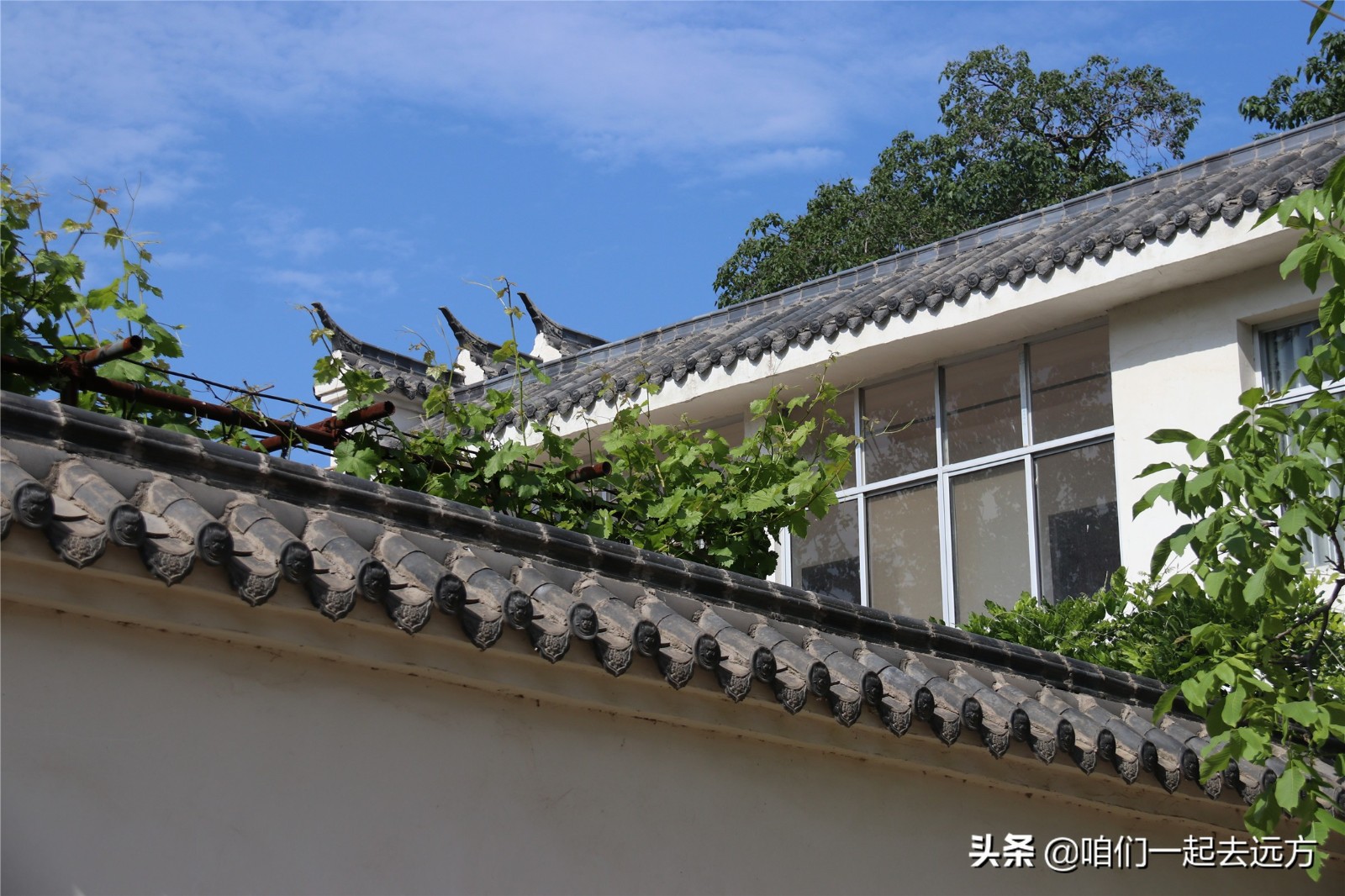 厭倦都市喧囂！夫妻「辭公務員回老家」打造田園小院　花草如蔭「自給自足不求人」享閒情雅緻