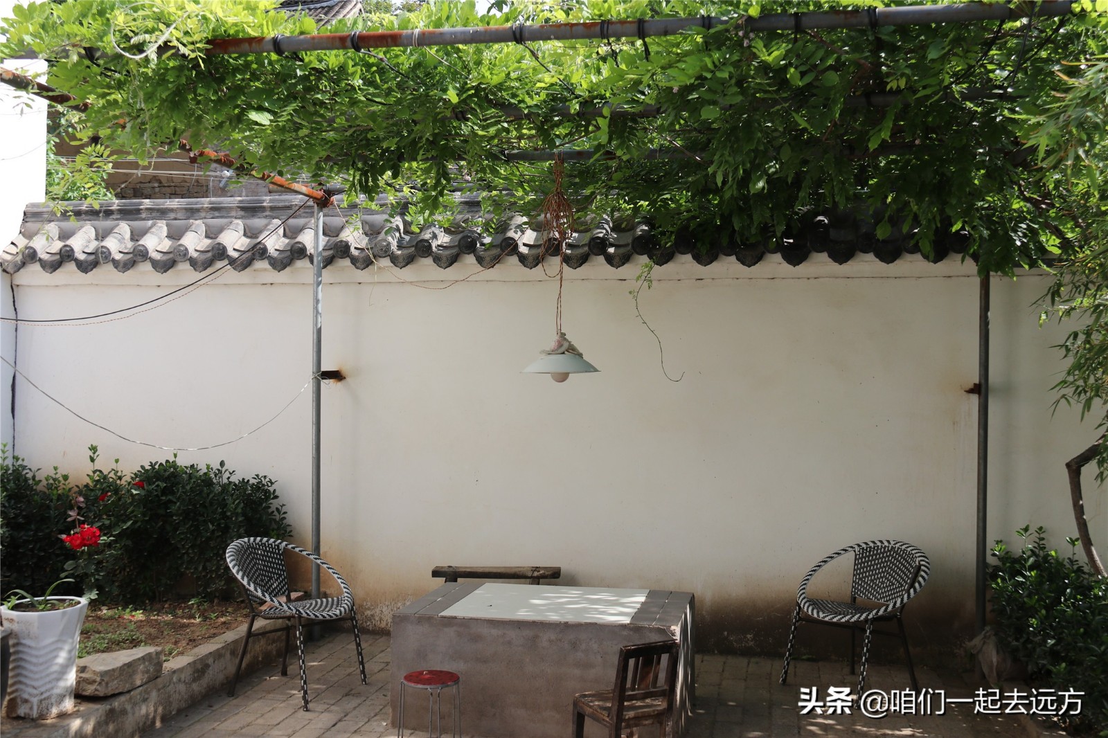 厭倦都市喧囂！夫妻「辭公務員回老家」打造田園小院　花草如蔭「自給自足不求人」享閒情雅緻