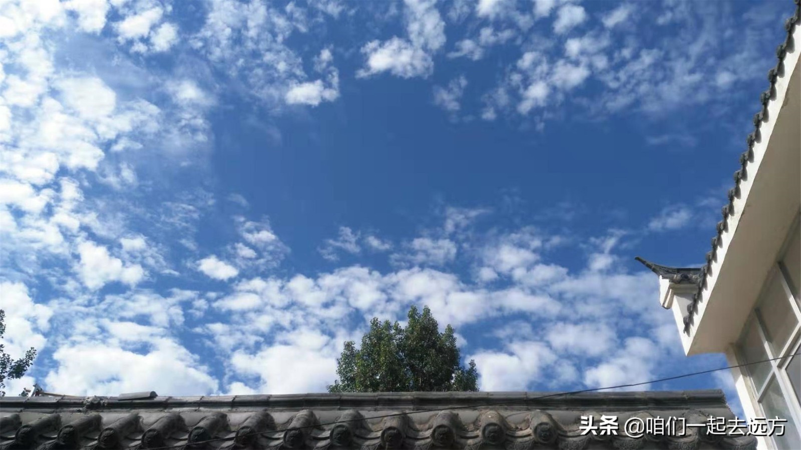 厭倦都市喧囂！夫妻「辭公務員回老家」打造田園小院　花草如蔭「自給自足不求人」享閒情雅緻