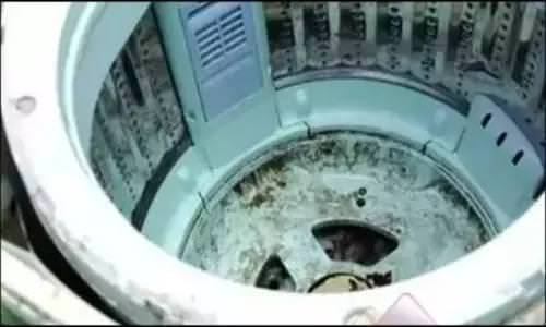 洗衣機用久了「越洗越髒」？教你一招免花錢「隱藏汙垢全現形」！
