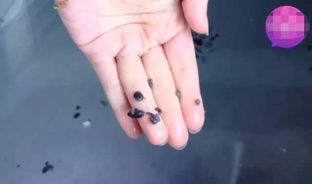 洗衣機用久了「越洗越髒」？教你一招免花錢「隱藏汙垢全現形」！