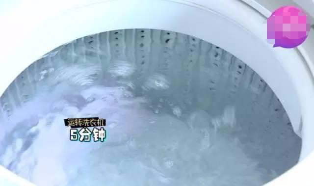 洗衣機用久了「越洗越髒」？教你一招免花錢「隱藏汙垢全現形」！