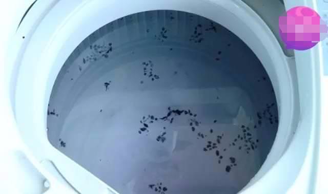 洗衣機用久了「越洗越髒」？教你一招免花錢「隱藏汙垢全現形」！
