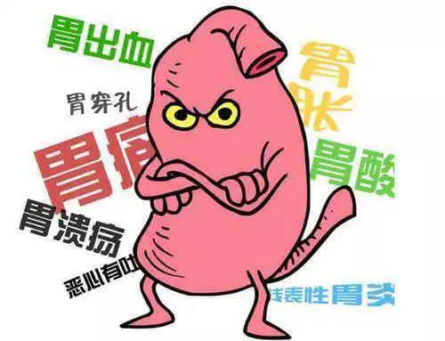 幽門螺桿菌剋星！5種食物助你修復胃黏膜，胃健康從飲食開始