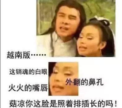 越南翻拍太毀劇！小龍女鼻孔外翻，紫薇彈琴變「宮廷蹦迪 」    容嬤嬤反成全劇最美