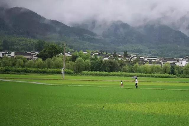 有你在就好！都市夫妻「辭去15年工作」到鄉下開民宿　過田園生活「與友人院裡喝茶聊天」日常即是幸福