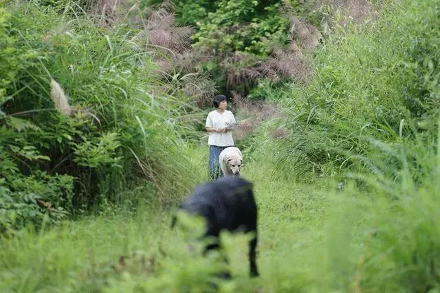 有你在就好！都市夫妻「辭去15年工作」到鄉下開民宿　過田園生活「與友人院裡喝茶聊天」日常即是幸福