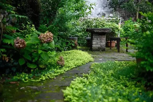 有你在就好！都市夫妻「辭去15年工作」到鄉下開民宿　過田園生活「與友人院裡喝茶聊天」日常即是幸福