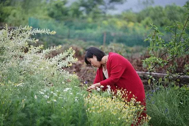 有你在就好！都市夫妻「辭去15年工作」到鄉下開民宿　過田園生活「與友人院裡喝茶聊天」日常即是幸福