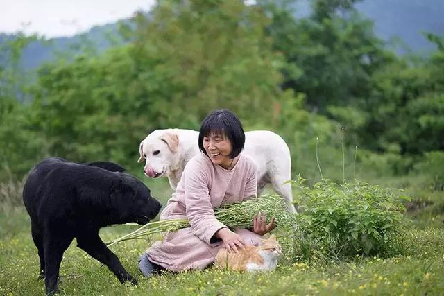 有你在就好！都市夫妻「辭去15年工作」到鄉下開民宿　過田園生活「與友人院裡喝茶聊天」日常即是幸福