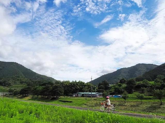 遠離塵囂！小夫妻辭工作「帶兒女返鄉」展開田園生活　孩子跟爺爺下田耕作「家住父母隔壁」徜徉大自然