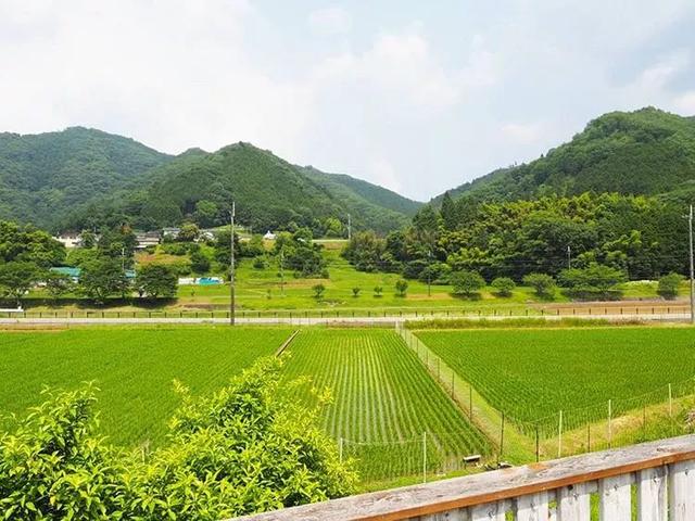 遠離塵囂！小夫妻辭工作「帶兒女返鄉」展開田園生活　孩子跟爺爺下田耕作「家住父母隔壁」徜徉大自然