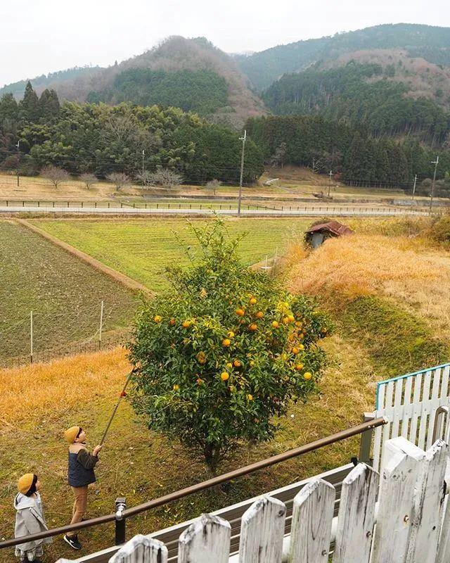 遠離塵囂！小夫妻辭工作「帶兒女返鄉」展開田園生活　孩子跟爺爺下田耕作「家住父母隔壁」徜徉大自然