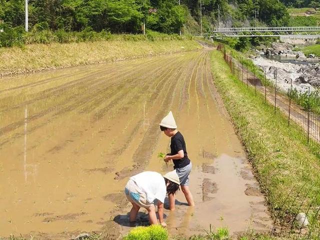 遠離塵囂！小夫妻辭工作「帶兒女返鄉」展開田園生活　孩子跟爺爺下田耕作「家住父母隔壁」徜徉大自然