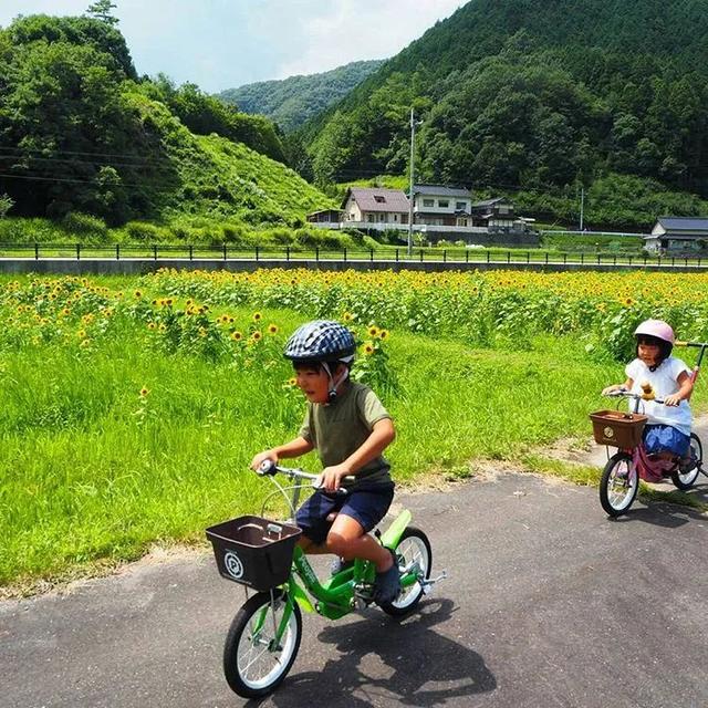 遠離塵囂！小夫妻辭工作「帶兒女返鄉」展開田園生活　孩子跟爺爺下田耕作「家住父母隔壁」徜徉大自然