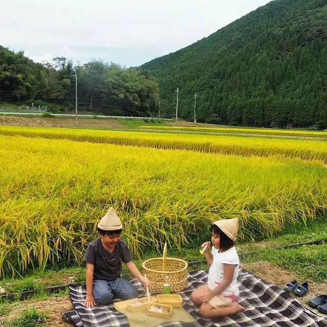 遠離塵囂！小夫妻辭工作「帶兒女返鄉」展開田園生活　孩子跟爺爺下田耕作「家住父母隔壁」徜徉大自然