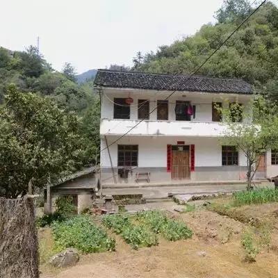 夫妻翻修深山老宅「打造絕美渡假村」房內無電視 青山環繞「聽雨喝茶寫書法」旅客流連忘返