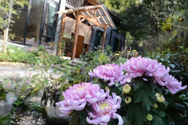 夫妻翻修深山老宅「打造絕美渡假村」房內無電視 青山環繞「聽雨喝茶寫書法」旅客流連忘返