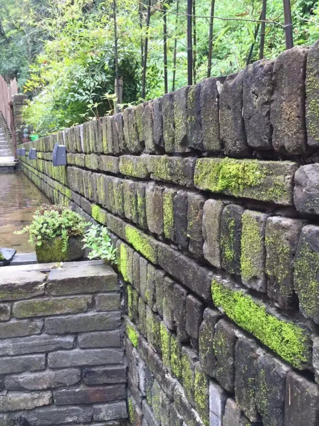 夫妻翻修深山老宅「打造絕美渡假村」房內無電視 青山環繞「聽雨喝茶寫書法」旅客流連忘返