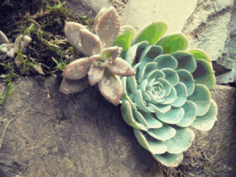 夫妻翻修深山老宅「打造絕美渡假村」房內無電視 青山環繞「聽雨喝茶寫書法」旅客流連忘返