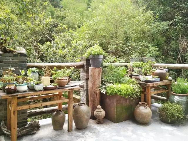 夫妻翻修深山老宅「打造絕美渡假村」房內無電視 青山環繞「聽雨喝茶寫書法」旅客流連忘返