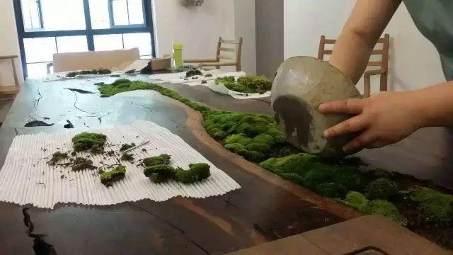 夫妻翻修深山老宅「打造絕美渡假村」房內無電視 青山環繞「聽雨喝茶寫書法」旅客流連忘返