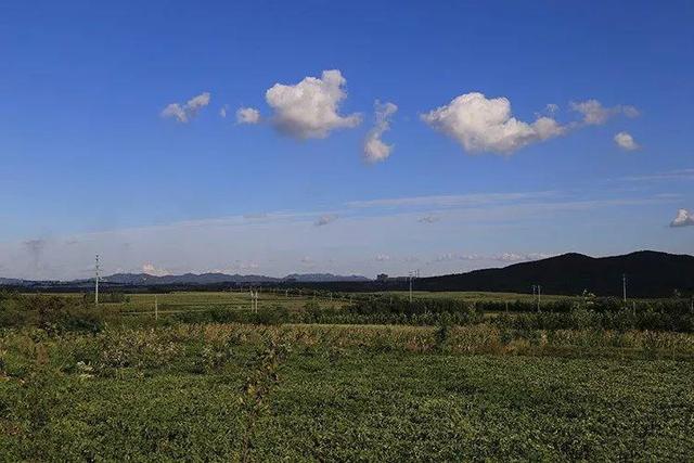 親自蓋農場！他賣都市房「租110畝山頭25年」　不沉迷電子產品「女兒在大自然中成長」近況羨煞全網