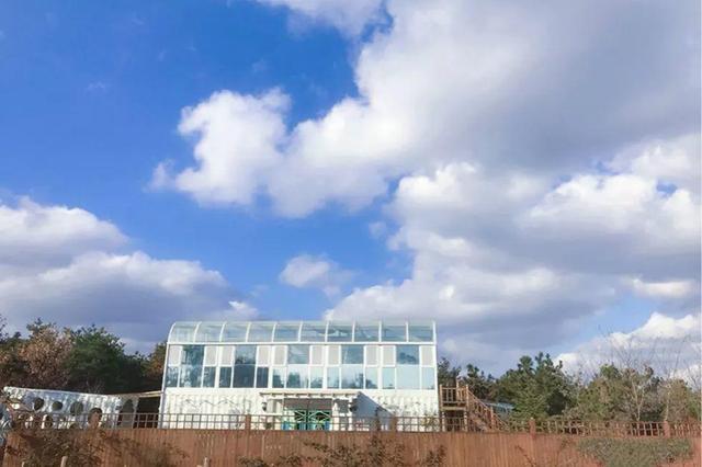 親自蓋農場！他賣都市房「租110畝山頭25年」　不沉迷電子產品「女兒在大自然中成長」近況羨煞全網