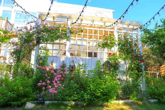 親自蓋農場！他賣都市房「租110畝山頭25年」　不沉迷電子產品「女兒在大自然中成長」近況羨煞全網