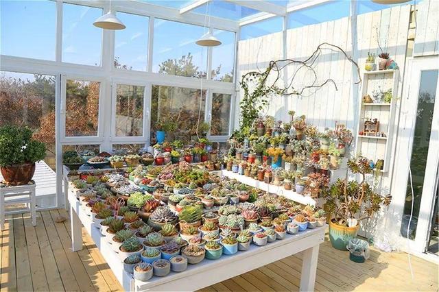 親自蓋農場！他賣都市房「租110畝山頭25年」　不沉迷電子產品「女兒在大自然中成長」近況羨煞全網