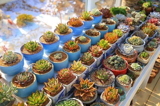 親自蓋農場！他賣都市房「租110畝山頭25年」　不沉迷電子產品「女兒在大自然中成長」近況羨煞全網