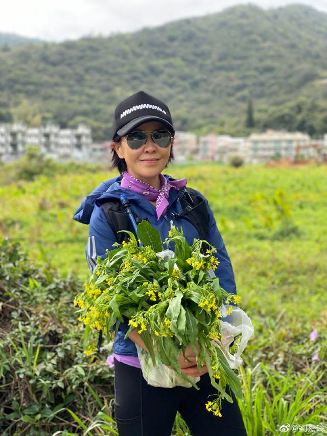 55歲劉嘉玲「全副武裝登山健行」素顏充滿自然美 席地而坐「與賣菜嬤微笑合影」私下超親民