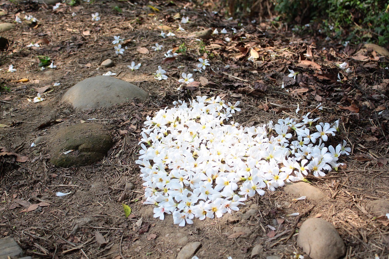 老婆是你的恩人，男人請珍惜！